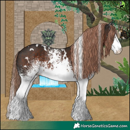 Horse Color:White Spotted Liver Chestnut 