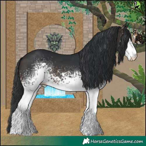 Horse Color:White Spotted Brown 