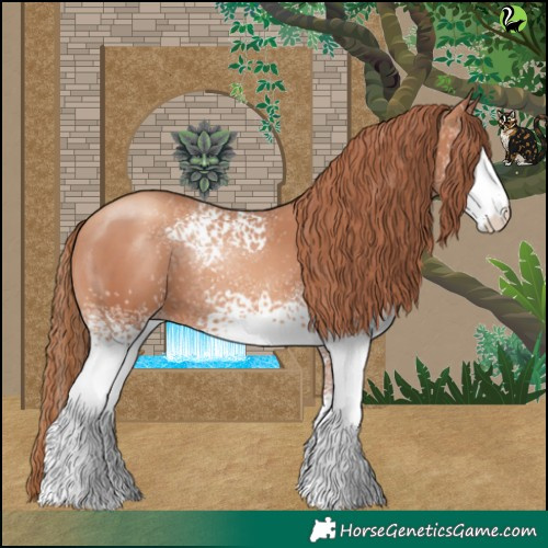 Horse Color:White Spotted Gold Champagne 