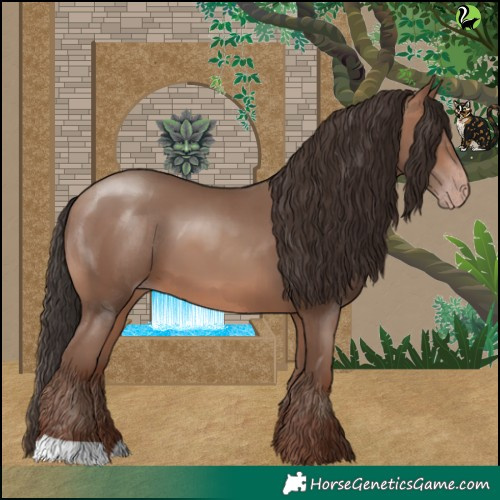 Horse Color:Sable Champagne 