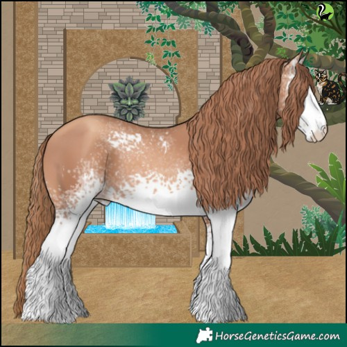 Horse Color:White Spotted Gold Champagne 