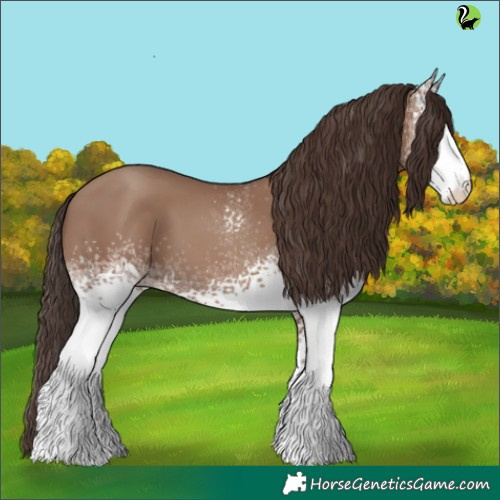 Horse Color:White Spotted Classic Champagne 