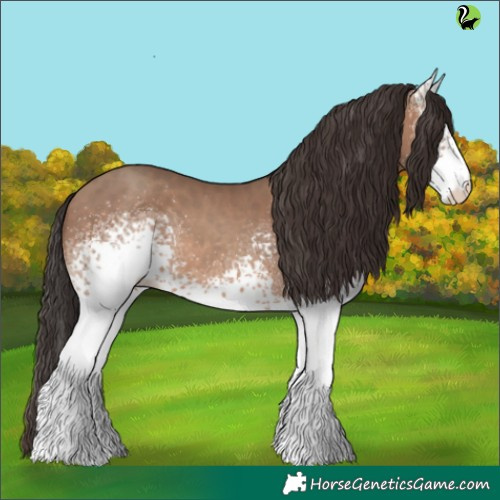 Horse Color:White Spotted Sable Champagne