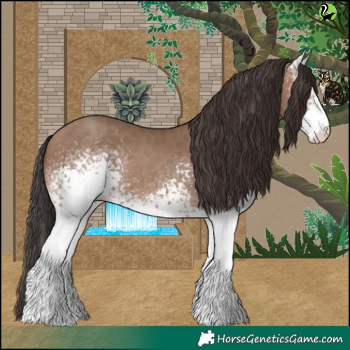 Horse Color:White Spotted Sable Champagne 