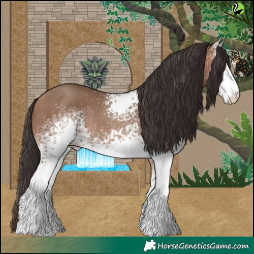 Horse Color:White Spotted Sable Champagne 