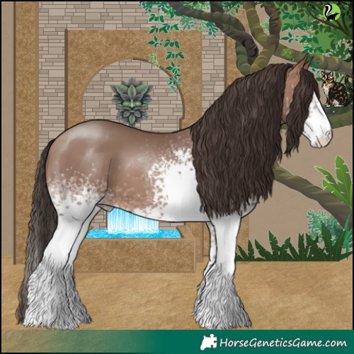 Horse Color:White Spotted Sable Champagne 