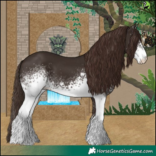Horse Color:White Spotted Liver Chestnut 