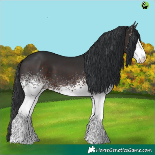 Horse Color:White Spotted Brown 
