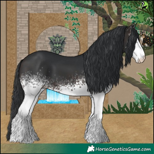 Horse Color:White Spotted Brown 
