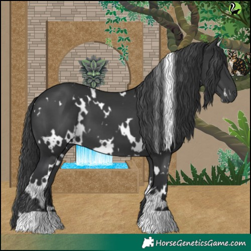 Horse Color:White Spotted Black 
