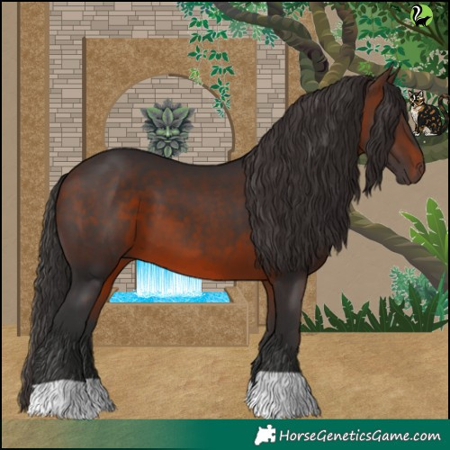 Horse Color:Brown 