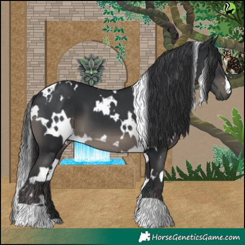 Horse Color:White Spotted Black 
