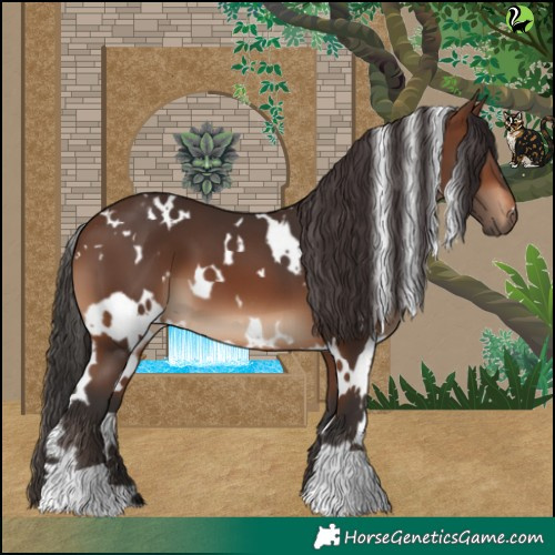Horse Color:White Spotted Brown 