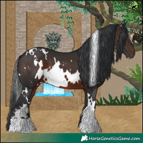 Horse Color:White Spotted Brown 