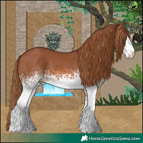 Horse Color:White Spotted Chestnut 