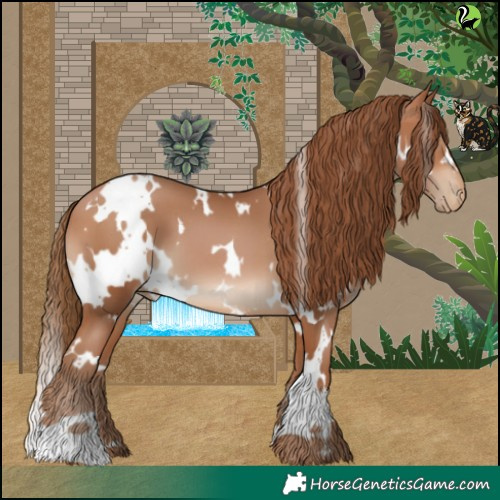 Horse Color:White Spotted Brown Pearl 