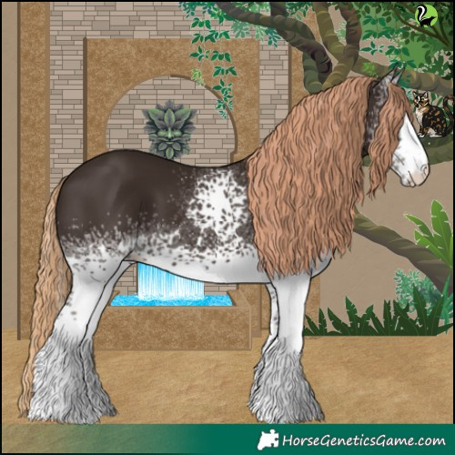 Horse Color:White Spotted Liver Chestnut 