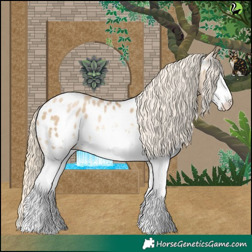 Horse Color:White Spotted Chocolate Palomino Pearl Dun Appaloosa 
