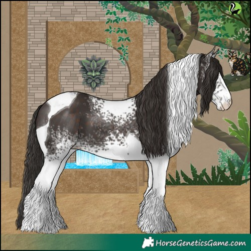 Horse Color:White Spotted Liver Chestnut Tobiano 