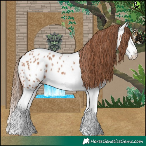 Horse Color:Brown Pearl Splash Appaloosa 