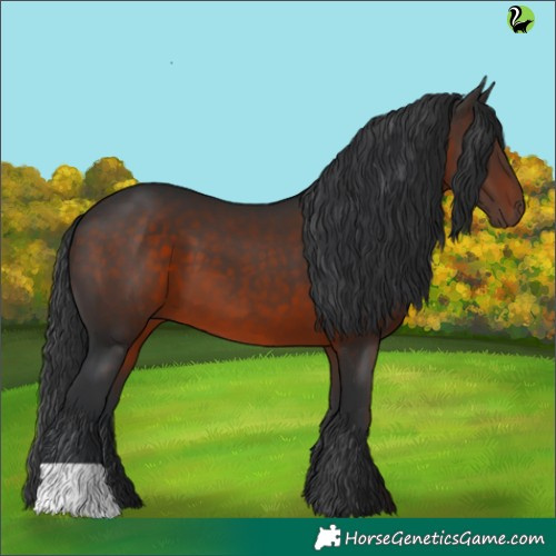 Horse Color:Brown 