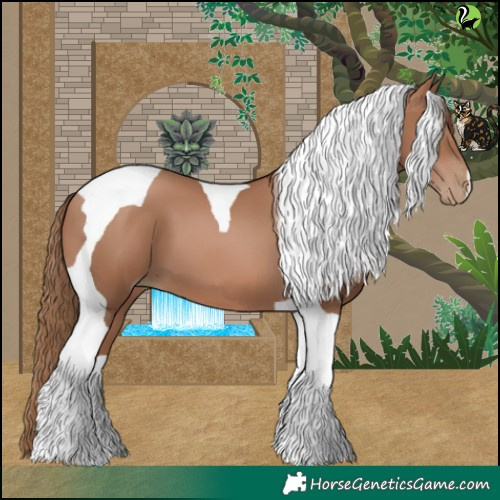 Horse Color:Black Pearl Tobiano 
