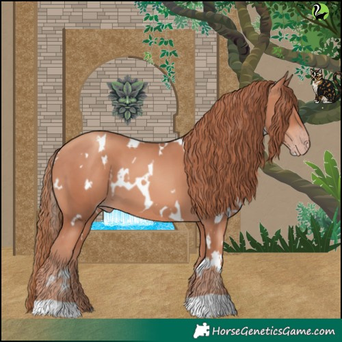 Horse Color:White Spotted Gold Champagne 
