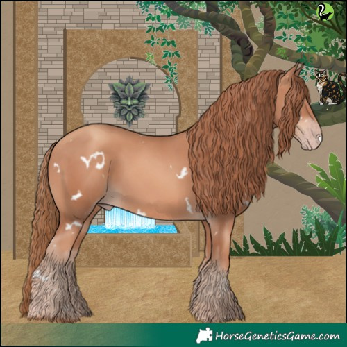 Horse Color:White Spotted Gold Champagne 