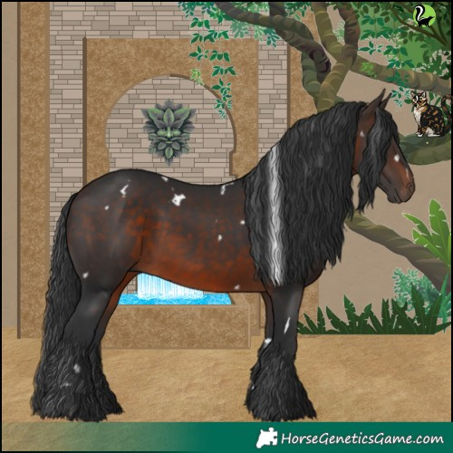 Horse Color:White Spotted Brown 