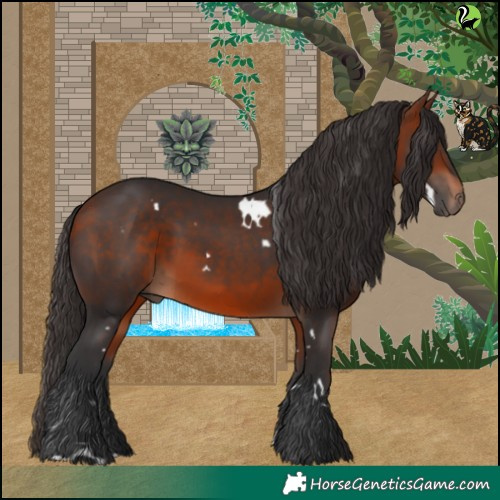 Horse Color:White Spotted Bay 