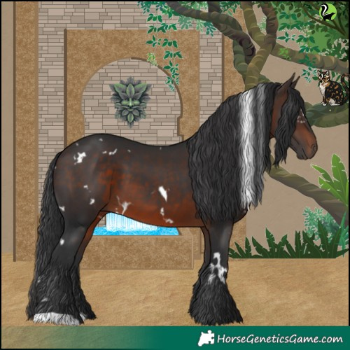 Horse Color:White Spotted Brown 