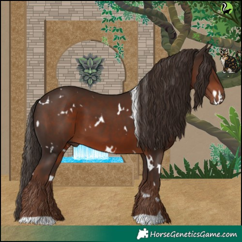 Horse Color:White Spotted Liver Chestnut 