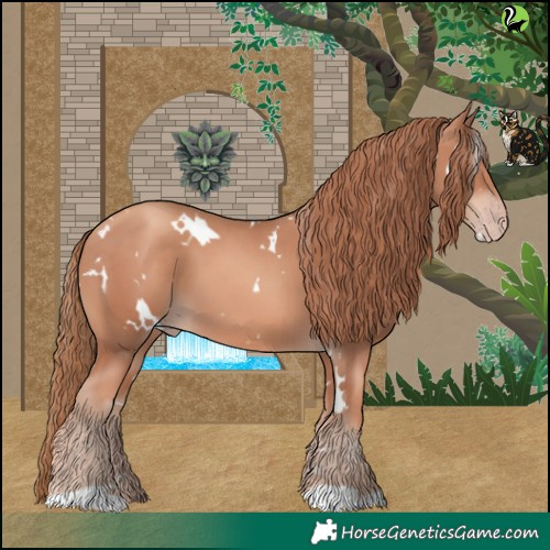 Horse Color:White Spotted Gold Champagne 