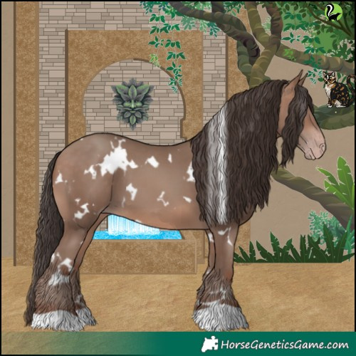 Horse Color:White Spotted Sable Champagne 