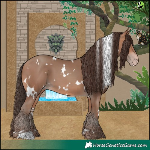 Horse Color:White Spotted Sable Champagne 