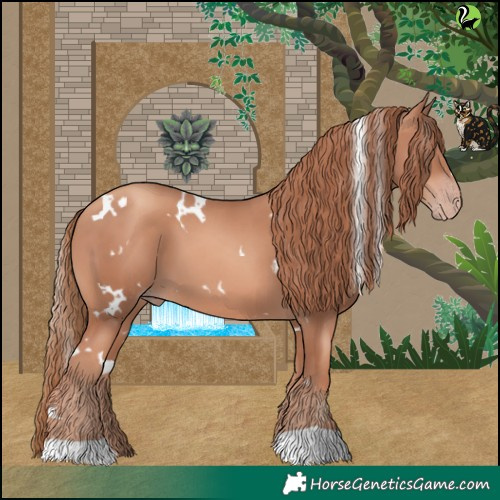 Horse Color:White Spotted Gold Champagne 