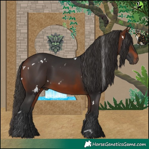 Horse Color:White Spotted Bay 