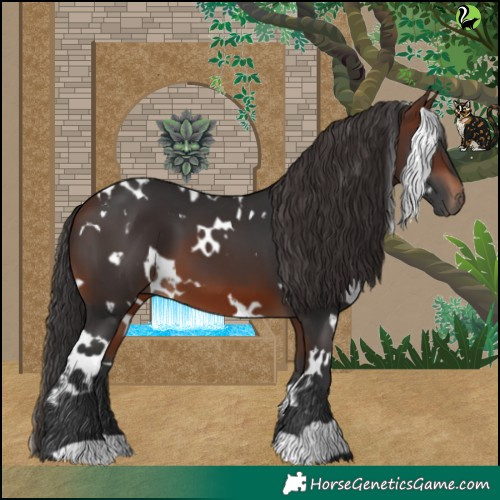Horse Color:White Spotted Brown 