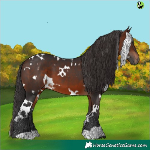 Horse Color:White Spotted Brown