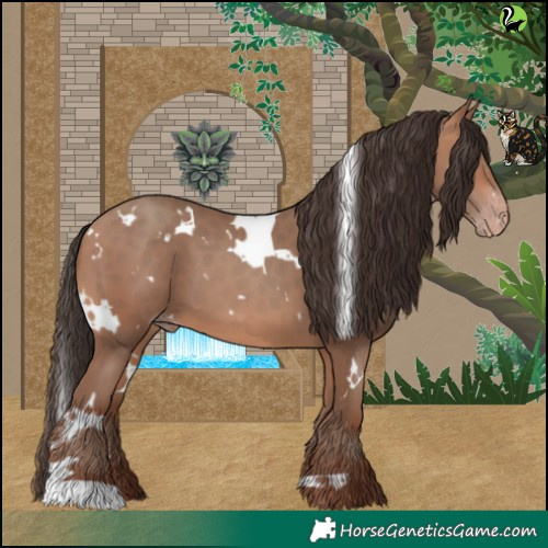 Horse Color:White Spotted Sable Champagne 