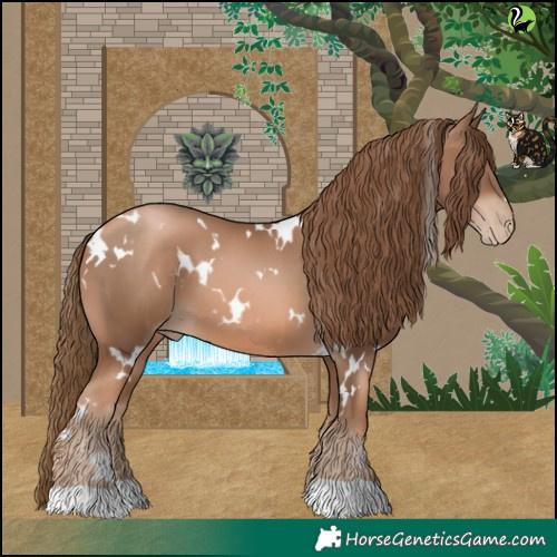 Horse Color:White Spotted Liver Chestnut Pearl 