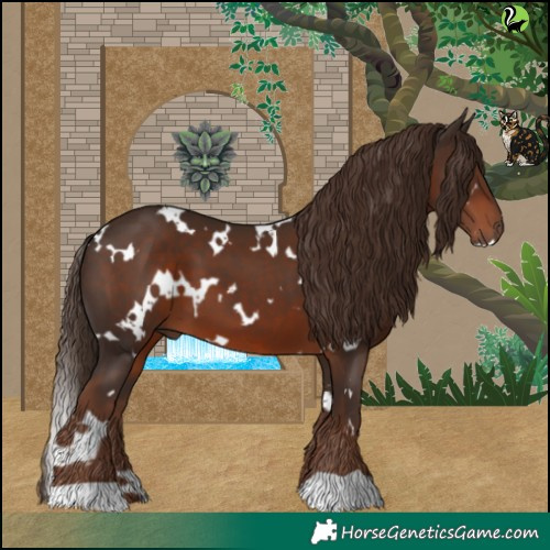Horse Color:White Spotted Liver Chestnut 