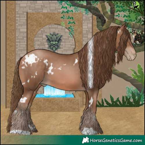 Horse Color:White Spotted Brown Pearl 
