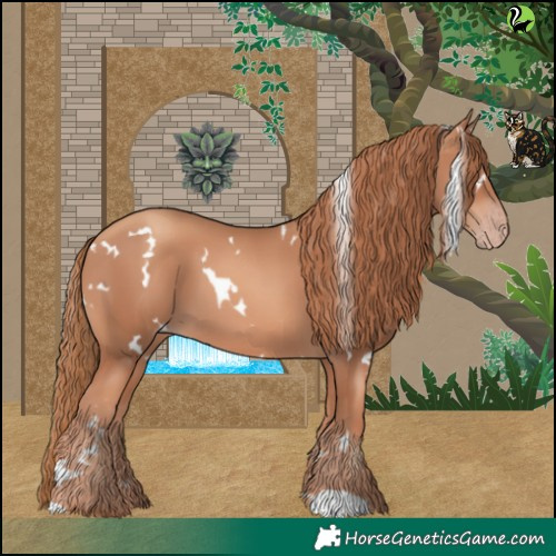 Horse Color:White Spotted Gold Champagne 