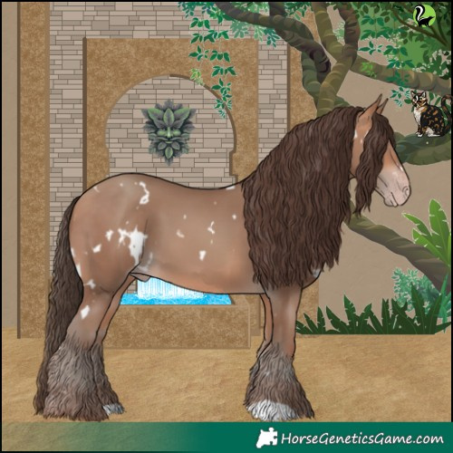 Horse Color:White Spotted Amber Champagne 