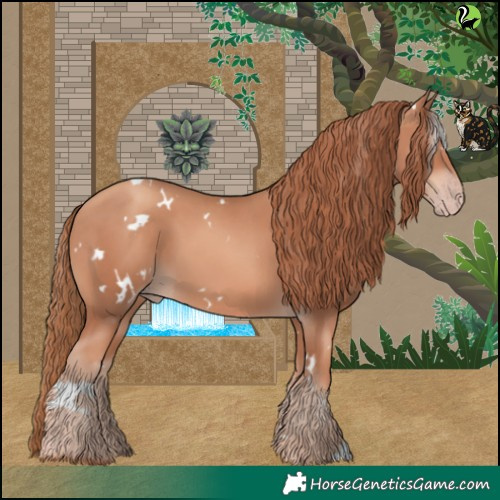 Horse Color:White Spotted Gold Champagne 