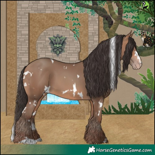 Horse Color:White Spotted Sable Champagne 