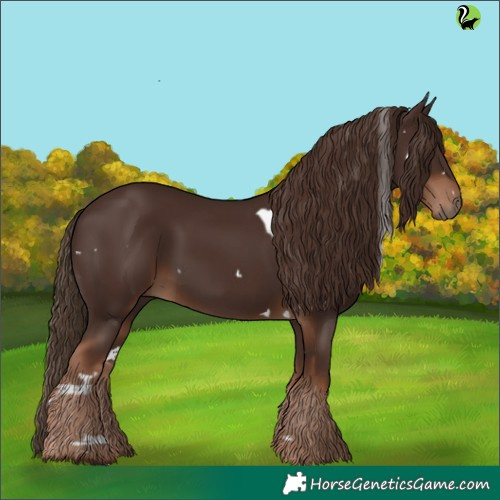 Horse Color:White Spotted Liver Chestnut 