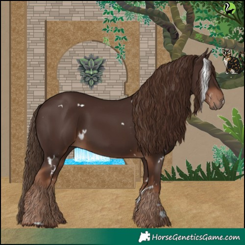 Horse Color:White Spotted Liver Chestnut 