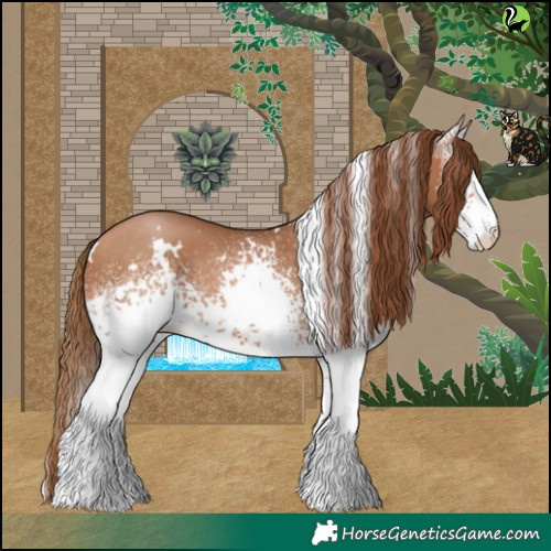 Horse Color:White Spotted Bay Pearl 